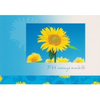 Cartes pour messages amitié en 20 modèles différents