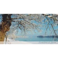  Loire sous la neige, carte postale photo