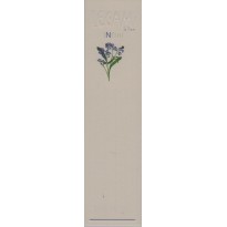Marque-pages "Myosotis, ne m'oublie pas !"