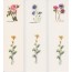 jeu de 3 marque-pages à fleurs "aquarellées"