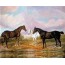 Reproduction toile ancienne Chevaux dans la prairie