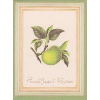 Fruits divers sur cartes petits formats.