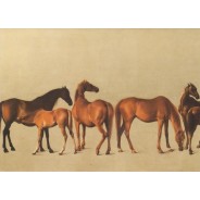 "Juments et Poulains" de Georges Stubbs, reproduction en carte postale