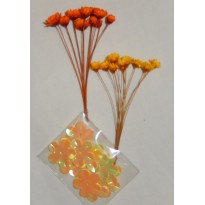 Immortelles orange et jaune en miniature pour scrapbooking et créations cartes.