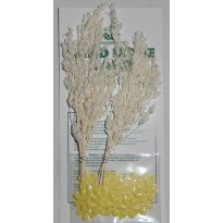 Gerbes blanches miniatures et coeurs de fleurs jaunes pour créations scrapbooking.