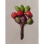 Fruits exotiques, grenades, avocats miniatures pour scrapbooking et créations cartes.