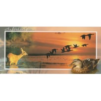 Vol de canards colverts au bord de l'eau sur carte postale.