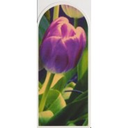 Marque-pages Tulipe mauve