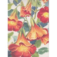 Bloc correspondance "Capucines", feuilles couleur rouge