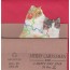 Carte de voeux pop up " Deux Chatons"