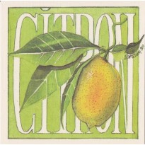 Le Citron, grande carte Aquarelle de Geneviève Vallin