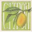 Le Citron, grande carte Aquarelle de Geneviève Vallin