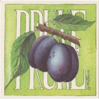 La Prune, grande carte Aquarelle de Geneviève Vallin