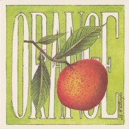 L'orange, grande carte Aquarelle de Geneviève Vallin