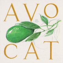 L' Avocat, Carte reproduction d' aquarelle de Jean-Marie Drouet