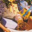 Toute la  Provence et ses spécialités, carte postale photo
