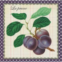 La Prune : carte dessin "naturaliste" de fruits