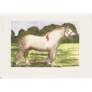 Le Percheron, cheval de trait, carte reproduction d'aquarelle