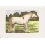 Le Percheron, cheval de trait, carte reproduction d'aquarelle