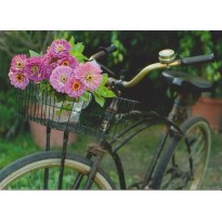 La bicyclette fleurie d'un bouquet de zinias, carte postale photo d'art