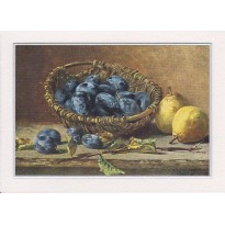 Panier de Prunes d'Ente et poires, nature morte reproduction sur carte postale