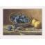 Panier de Prunes d'Ente et poires, nature morte reproduction sur carte postale