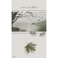 4 Cartes simples condoléances 