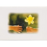Fleurs variées en cartes doubles avec enveloppes, au choix