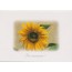 Bon Anniversaire, cartes doubles à fleurs variées