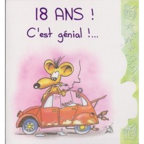 Cartes Danniversaire Les Souris Ont De Lhumour