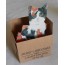 Chaton sortant de sa boite cadeau, carte pop up