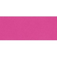 Marque-places couleurs unies 4 x 10