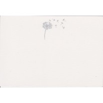 Cartes correspondance à motifs  Aigrette argentée