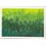 Cartes peintures faites main, créations uniques