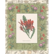 Jeu de 2 Planches Fleurs de cactées