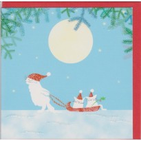 Cartes de Noël et  de Voeux : Chats faisant de la luge