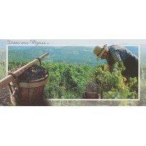 Les Vendanges, travail de la vigne en carte postale