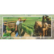 Carte Les Vendanges (suite)