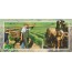 Carte Les Vendanges (suite)