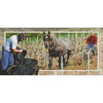 Carte Travail dans la Vigne : passage de la houe.